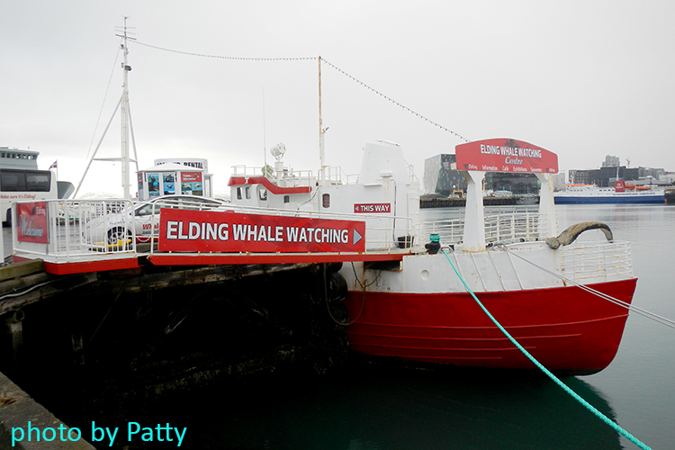 whale watching centre